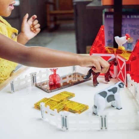 mag 22125 3 mag 22125 3