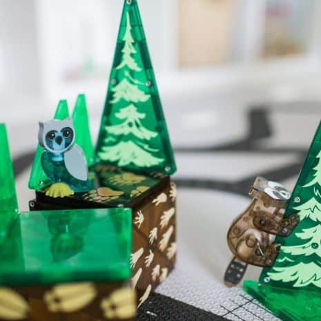 mag 22225 3 mag 22225 3