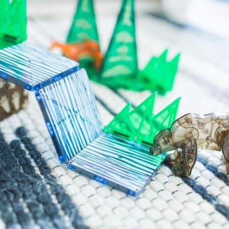 mag 22225 4 mag 22225 4