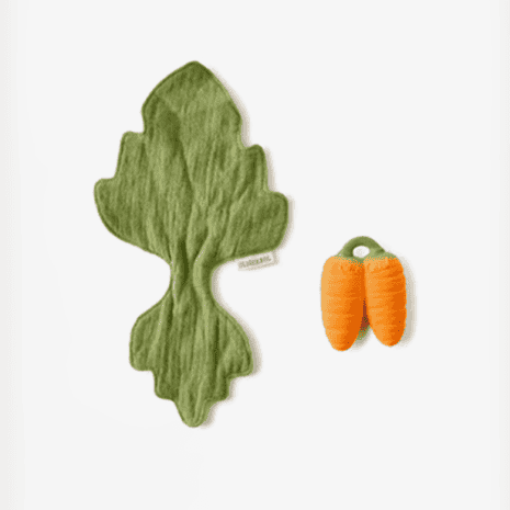 OC201505-1 oc201505 1