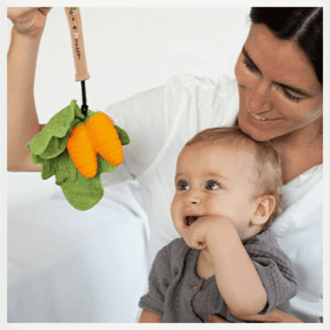 OC201505-3 oc201505 3