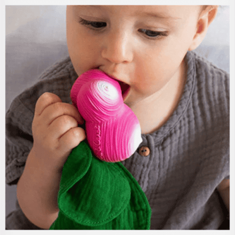 OC201529-1 oc201529 1