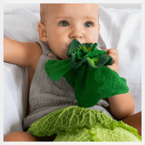 OC201536-1 oc201536 1