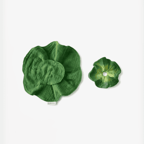 OC201536-2 oc201536 2