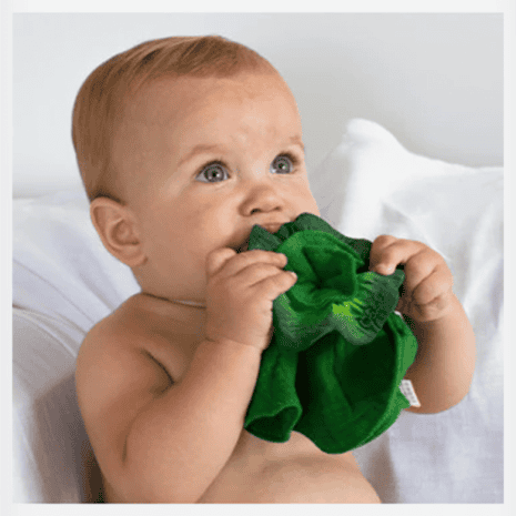 OC201536-3 oc201536 3