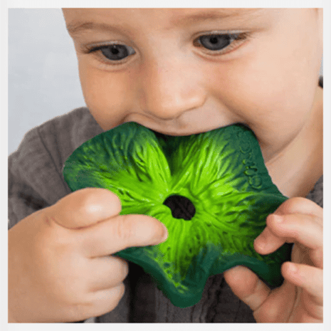 OC201536-5 oc201536 5