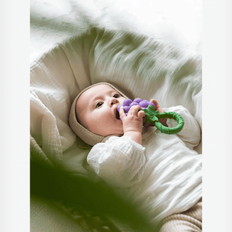 OC201611-2 oc201611 2