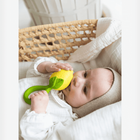 OC201628-2 oc201628 2