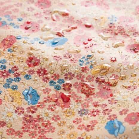 dodo'sFBP-02-6 dodosfbp 02 6